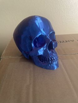 3D Printed Skull