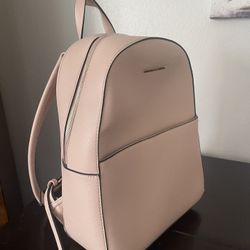 Aldo Bag
