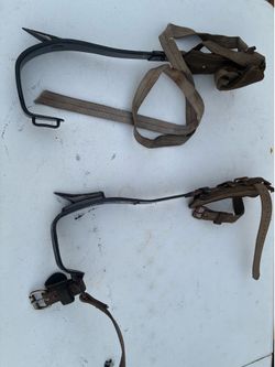 Buckingham Gaffes / tree spikes $80 obo
