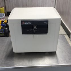 Sentry Fire Safe File Cabinet 