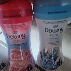 Downey Downyl Fresh In Wash Scent Booster Beads