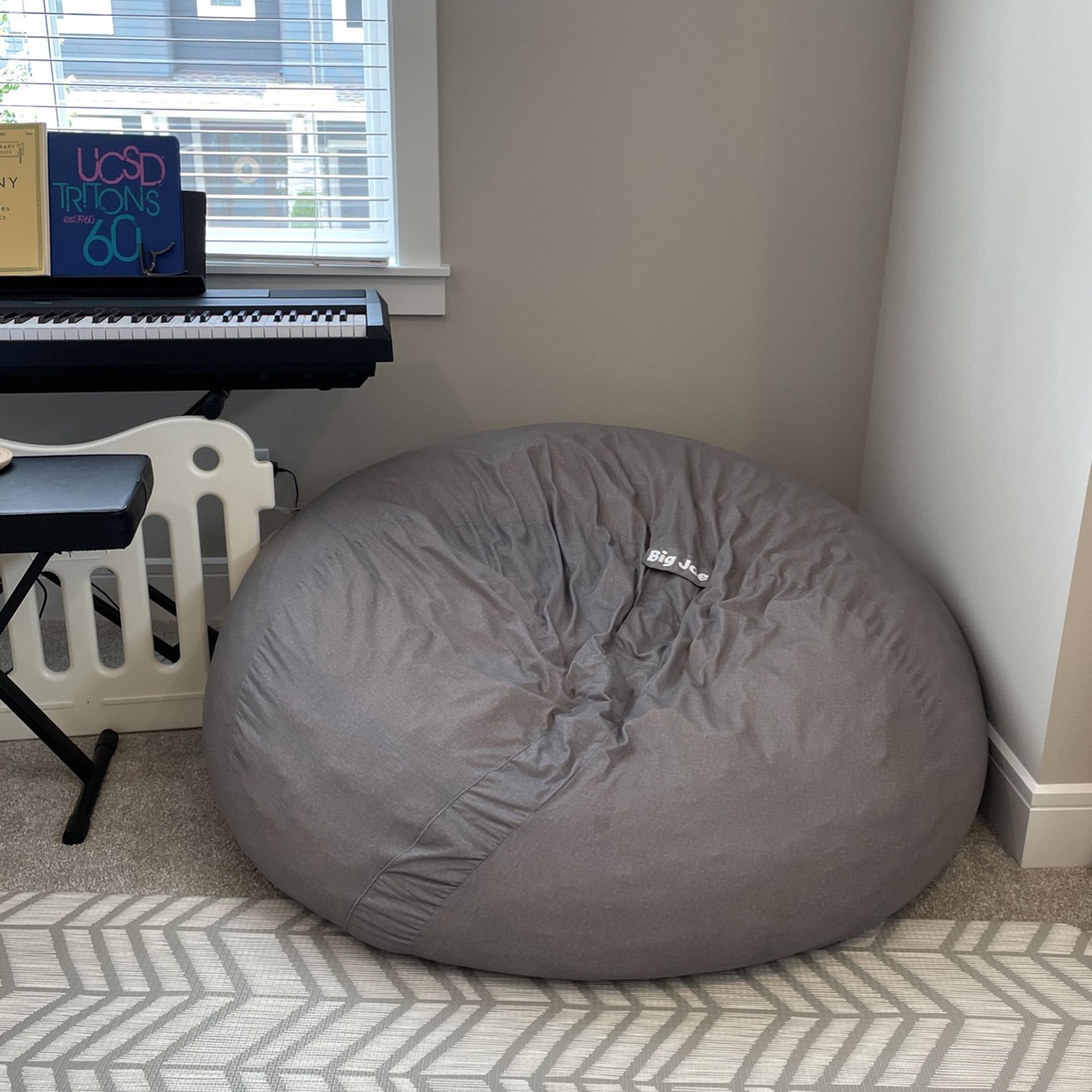 Big Joe bean bag in large size