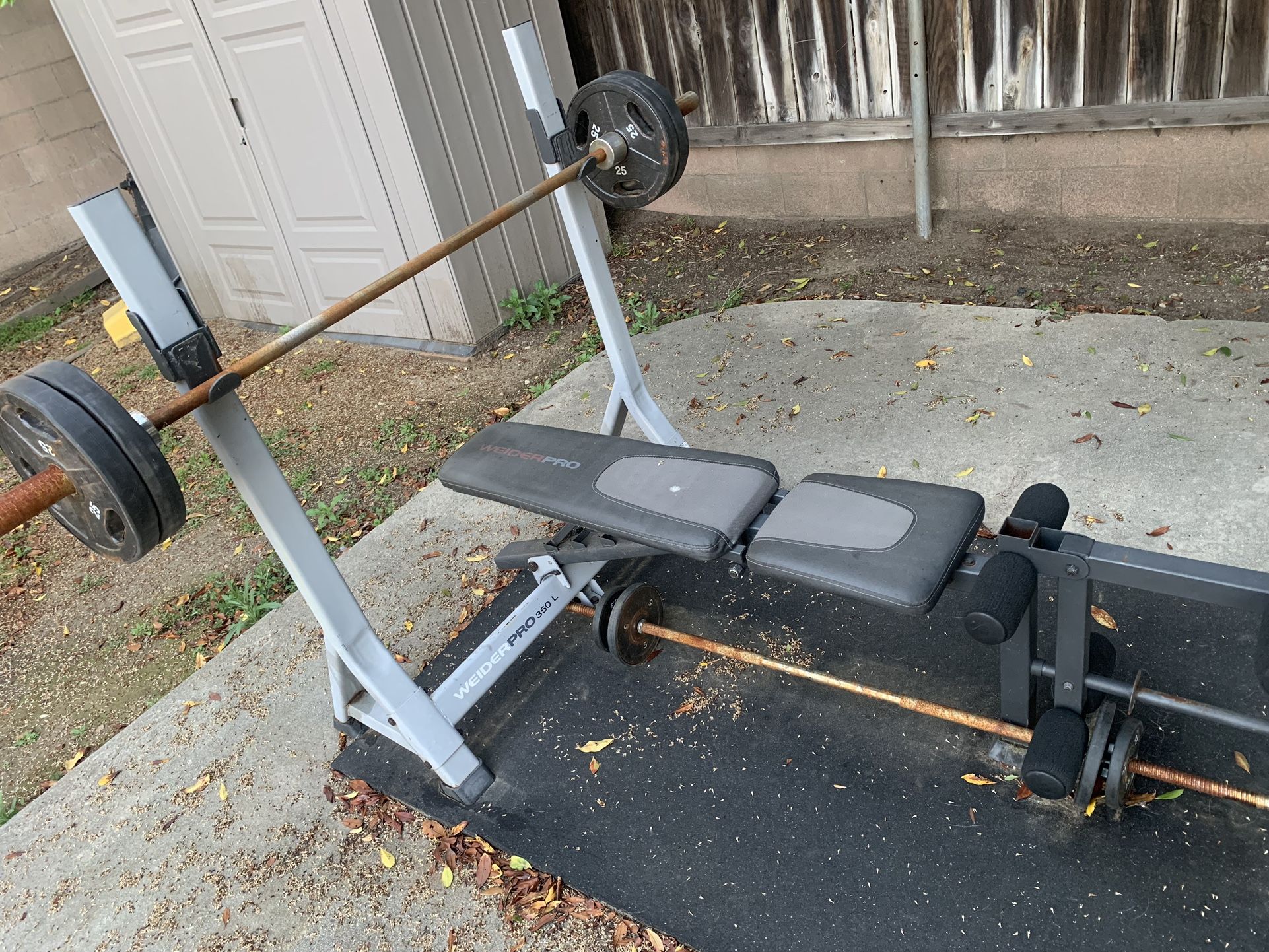 Weight Bench 