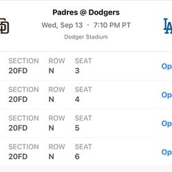 Dodgers Game
