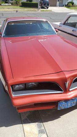 1977 Pontiac Firebird