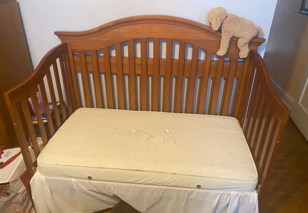 3 In 1 Crib And Power Wheel