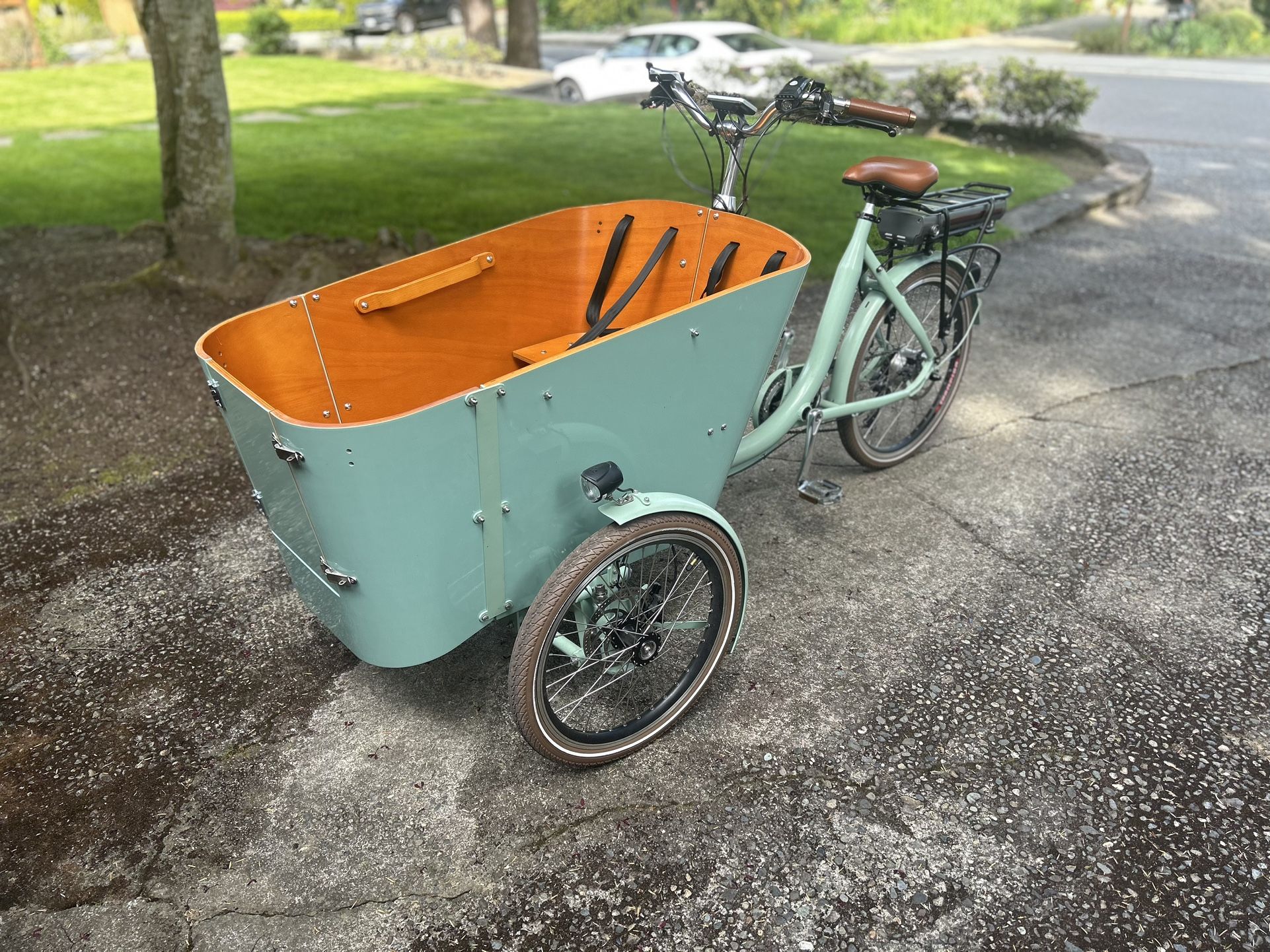 Electric Cargo Bike