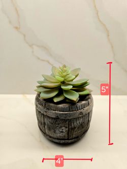 Artificial Succulent Plant in Barrel Pot 5" Tall