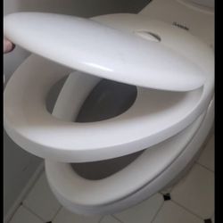 Toilet Seat