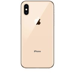 iPhone 10 With TikTok App 