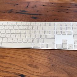 Apple Magic Keyboard Full Size Numeric Keypad
