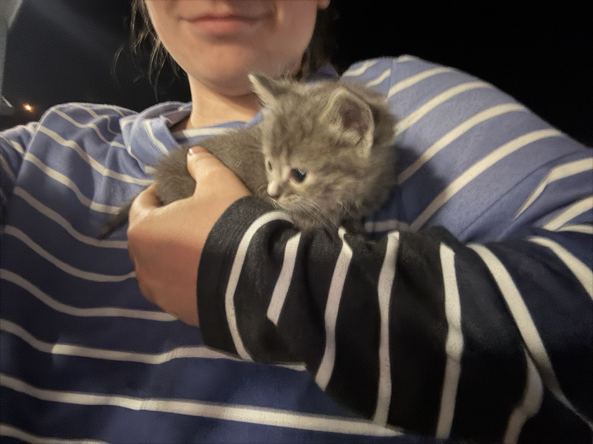 Adorable Grey Striped Shirt