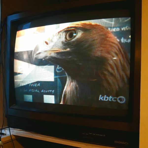 Magnavox CRT TV for Sale in Tacoma, WA - OfferUp