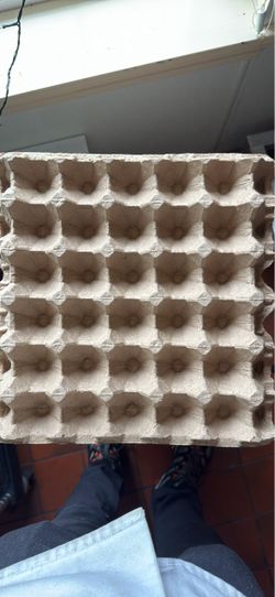 30-Cell Cardboard Egg Tray