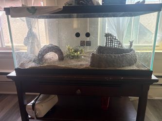 Snake Tank