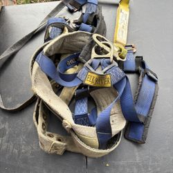 Safety Harness