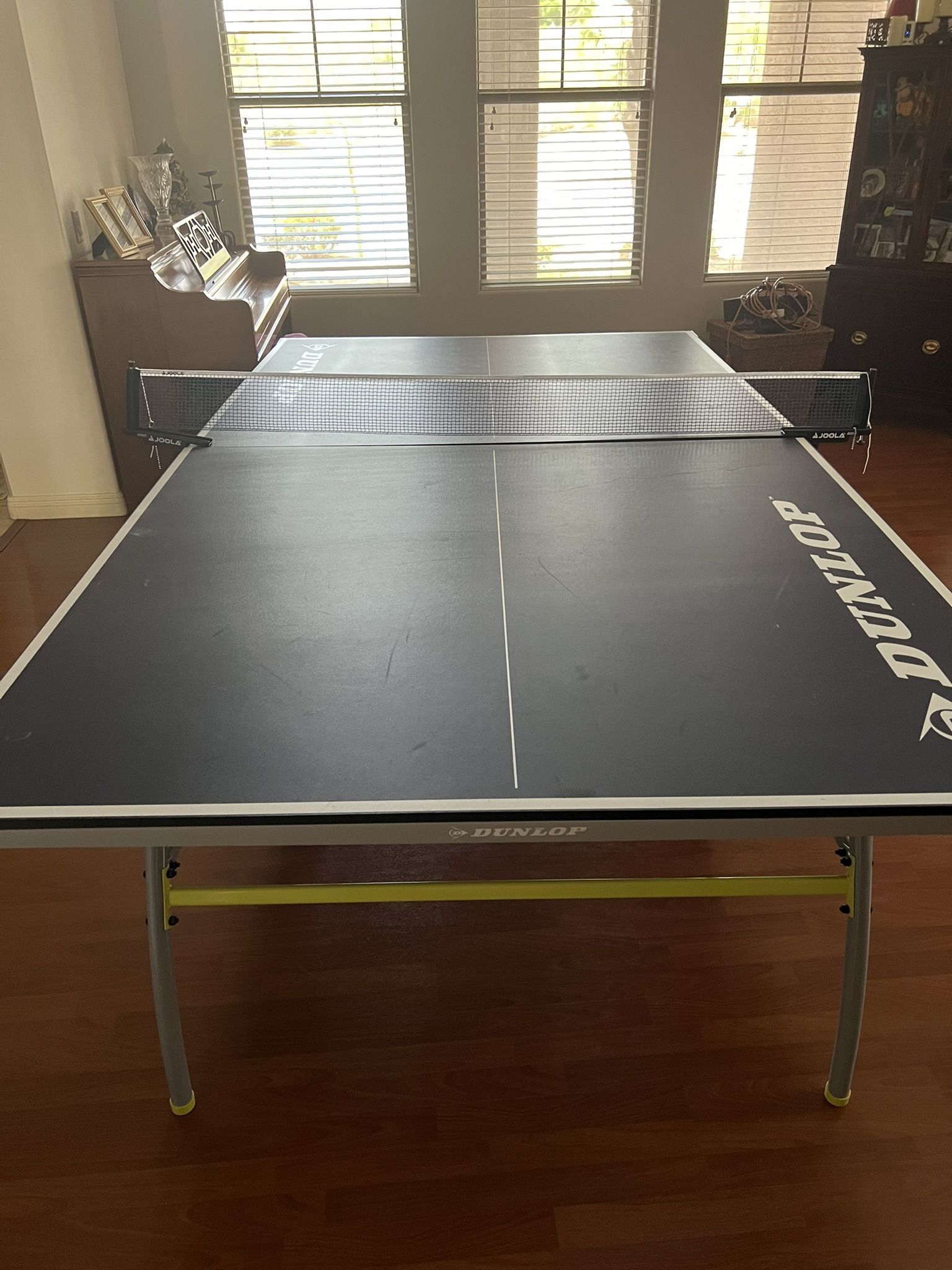 Ping Pong Table