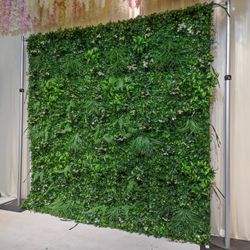 Backdrops