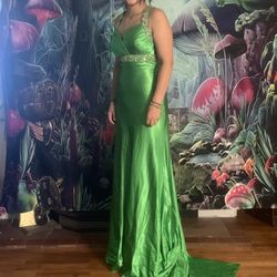 Beautiful Size 4 Homecoming/ Prom Dress/ Special Occasion Dress Asking $25