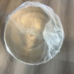 Totoro running wheel