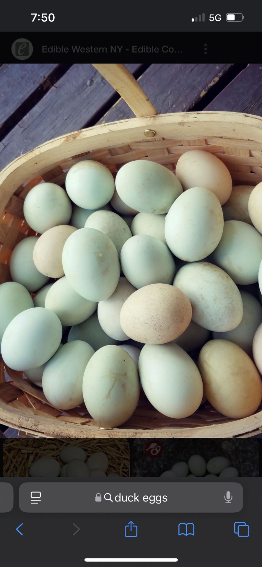 Eggs In Merced
