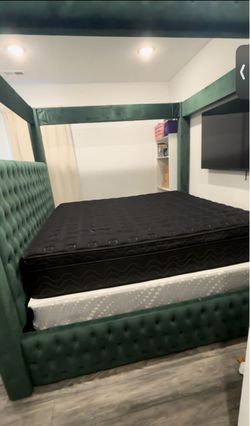 Emerald Velvet Canopy