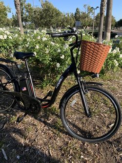 Electric Beach Cruiser