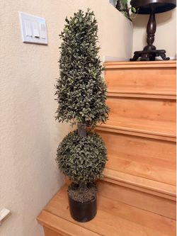 Topiary