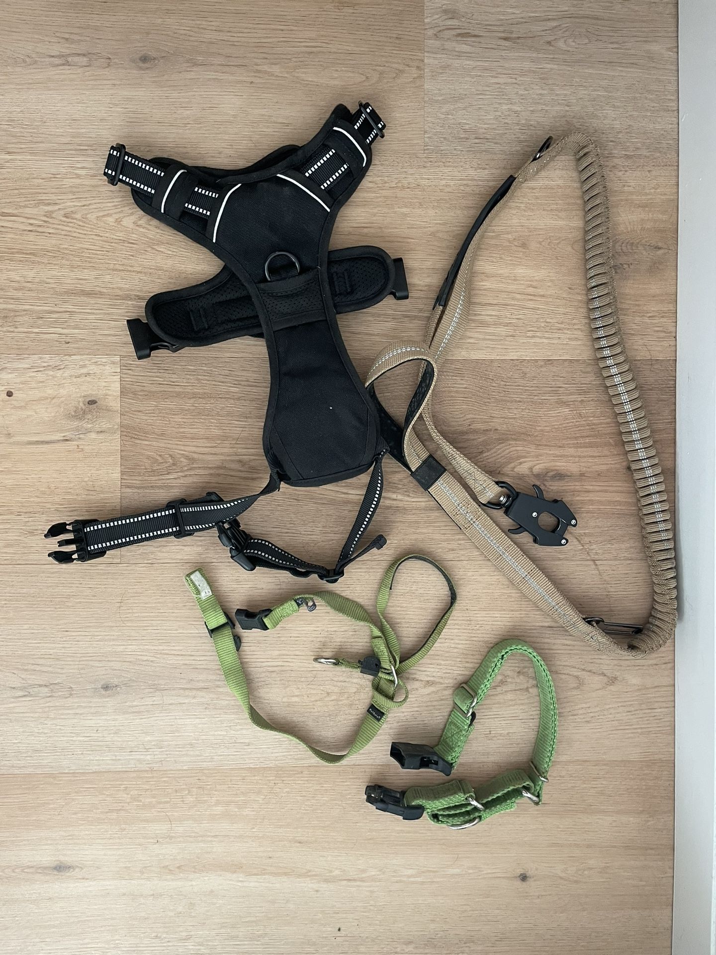 Dog Equipment