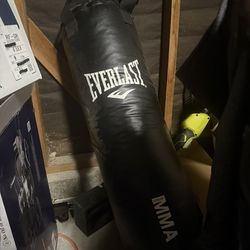 Everlast MMA 70 Lbs. Punching Bag