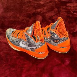 KD5 BHM