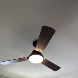ceiling fan