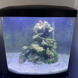 32 Gallon BioCube Aquarium w/LED Kit (Tank & Stand) - Coralife