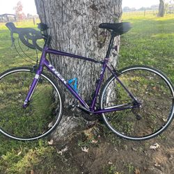 Trek Lexa Road bike