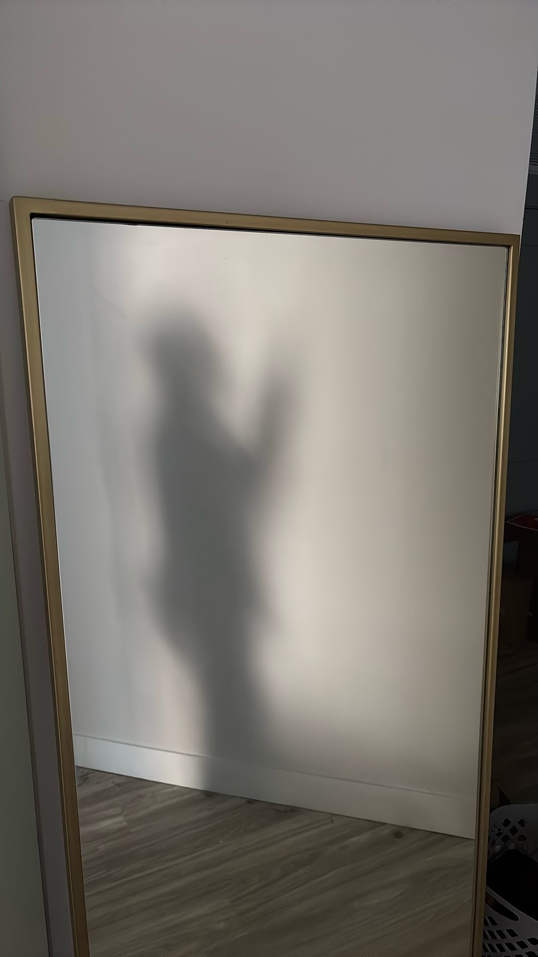 Full Length Mirror