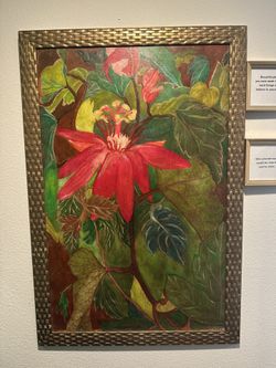 Large Oil Painting - passion Flower