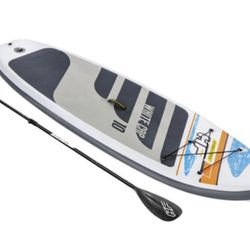 Paddle Board (used once) 