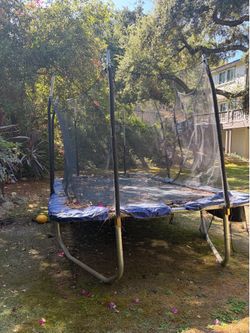 FREE trampoline
