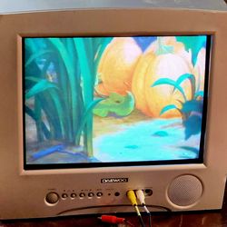 14" CRT TV Flat screen color retro gaming television model 2002