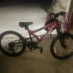 Girls 20 Inch Bike 