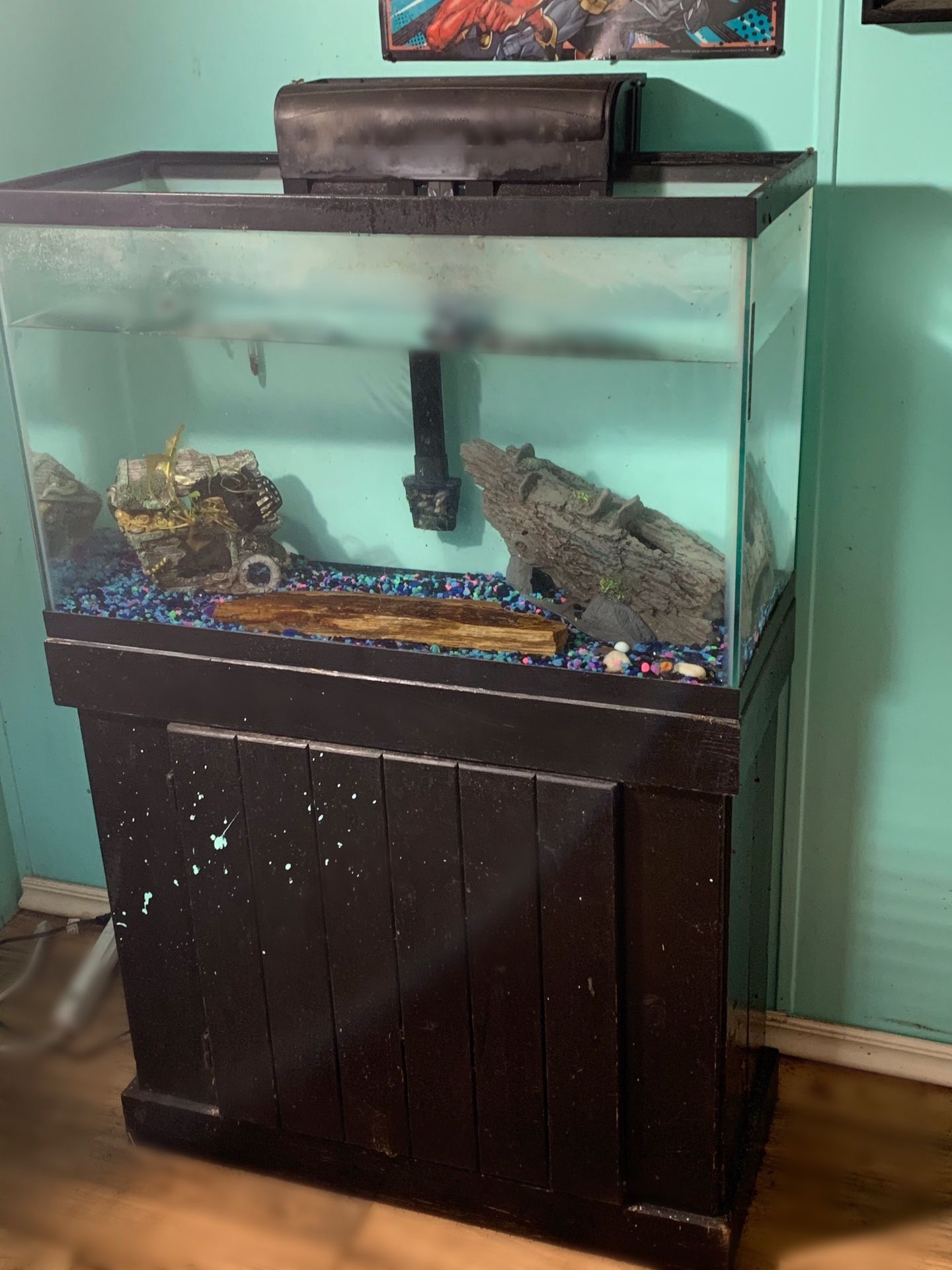 29 Gallon Aquarium with filter and stand