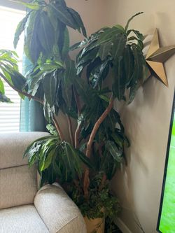 Planta artificial grande
