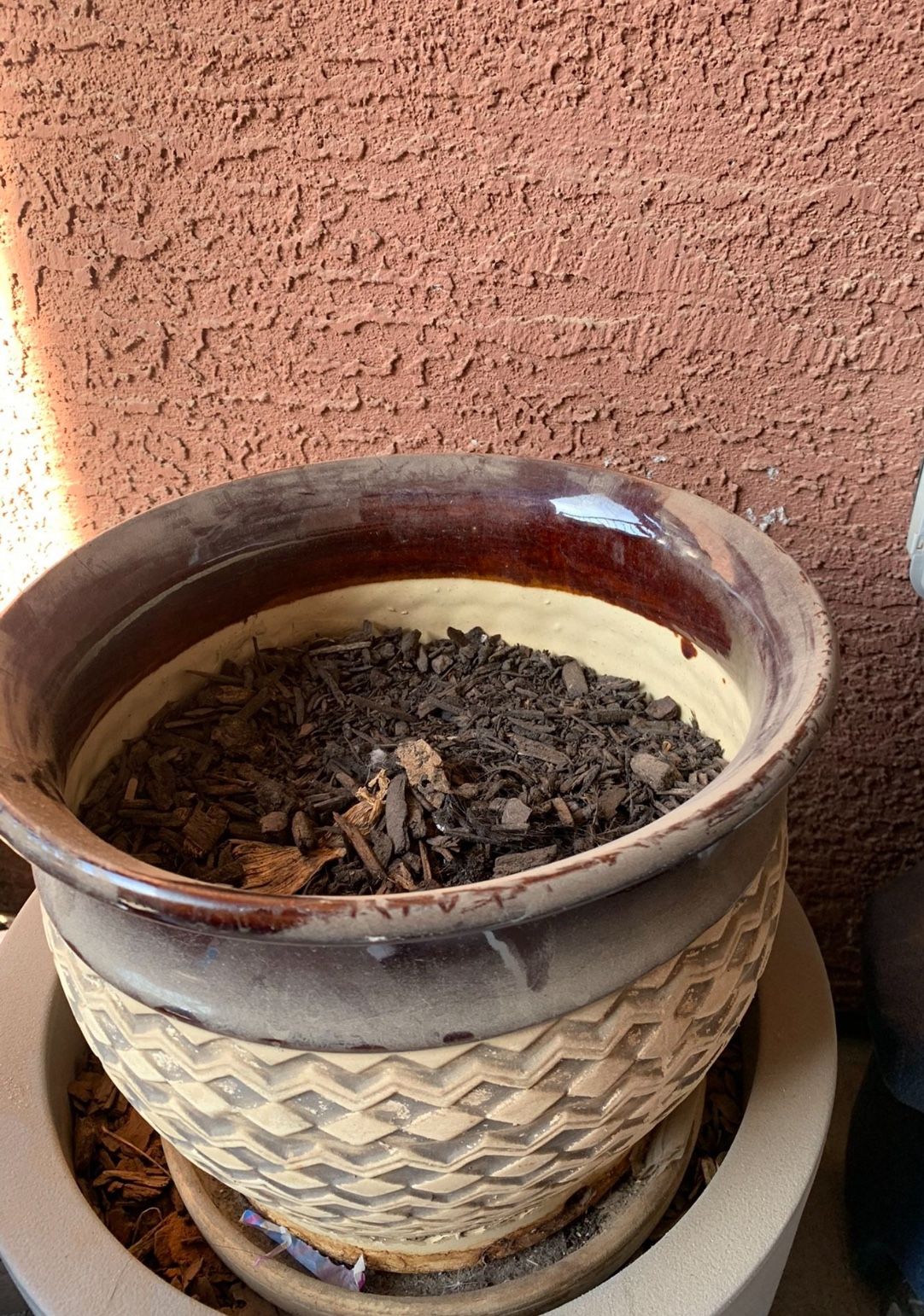 12 Inch High “Plant pot “