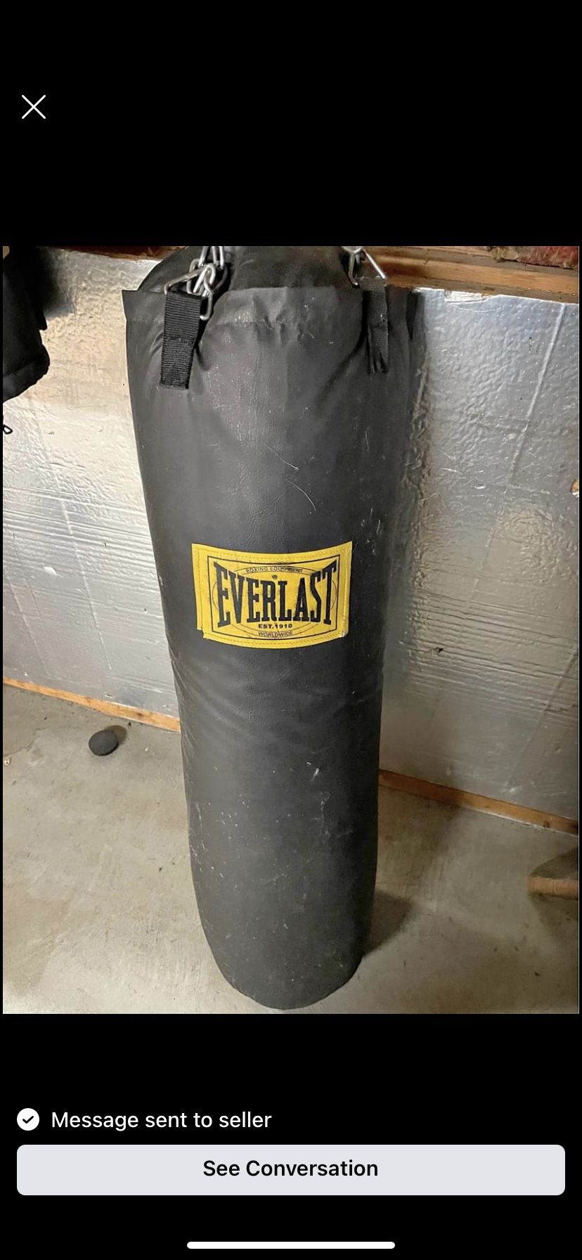 Punching Bag 