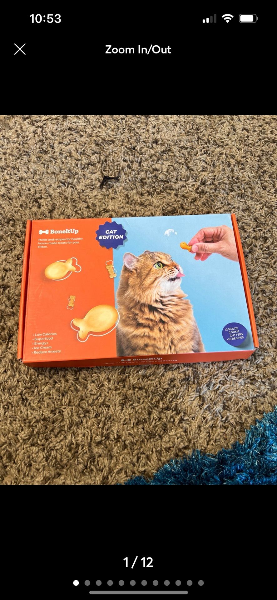 boneitup molds and recipes for cats kit