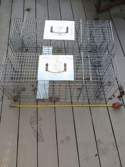Animal/Cat Traps