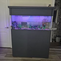 80 Gallon fish tank with accessories and turtle