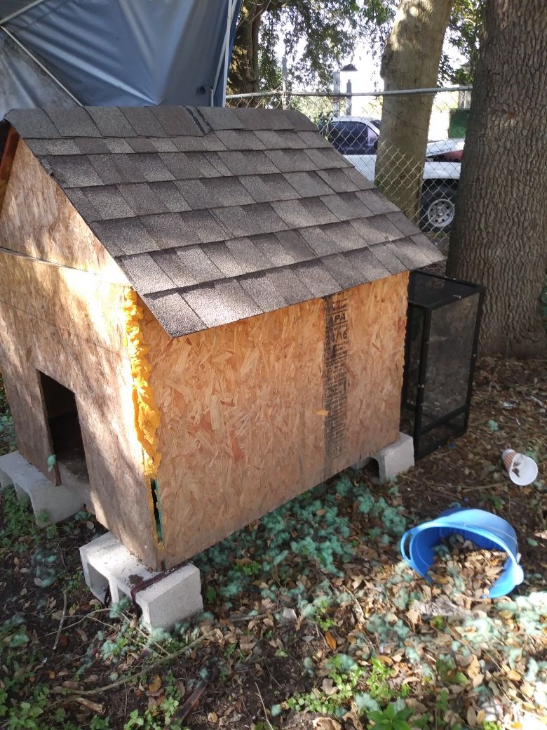 Dog house