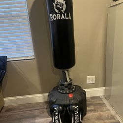 Punching Bag With Gloves