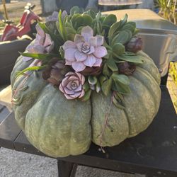 Halloween Decor 